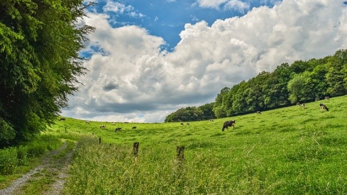 Natur Natur